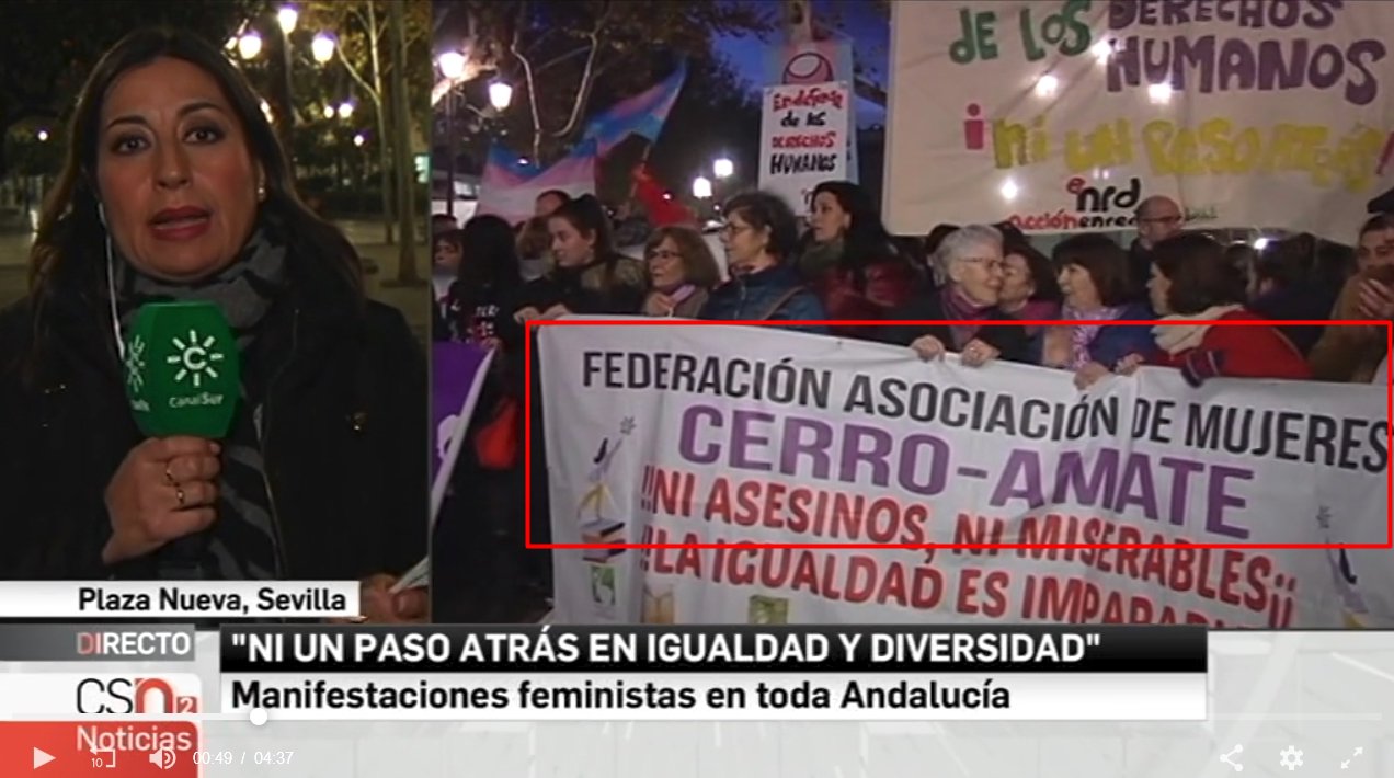 Ser hombre no es delito Destripamos federaciones de mujeres andaluzas manifestacion