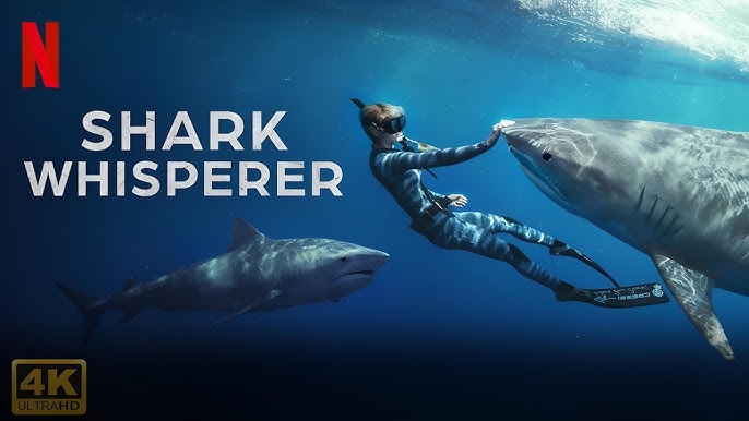 Kraken (2025) คราเคน เลื้อยสยอง หนังที่ทำให้เรามองท้องทะเลเป็นสถานที่น่ากลัวมากขึ้น